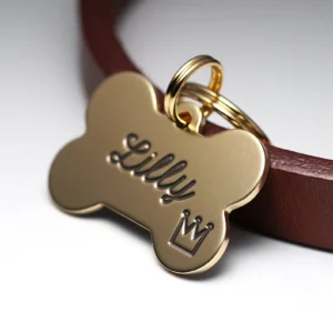 Dog Name Tag – The Golden Bone Luanch Offer