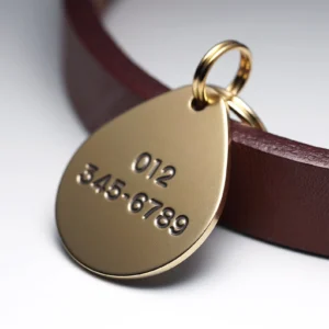 Customised Pet id Tag Launch Offer Dew