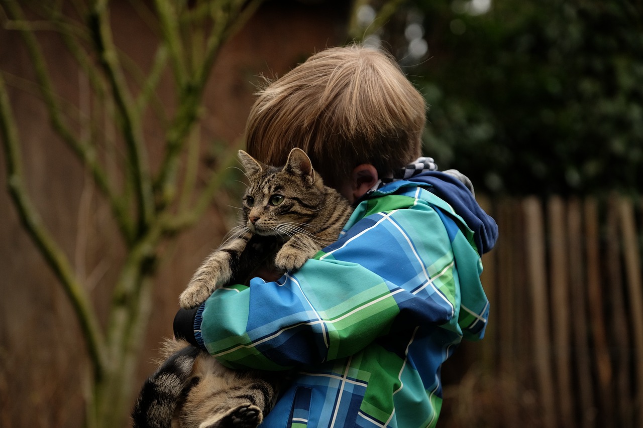 friendship, child, cat-2112623.jpg